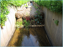 サムネイル写真：側溝での濁水対策